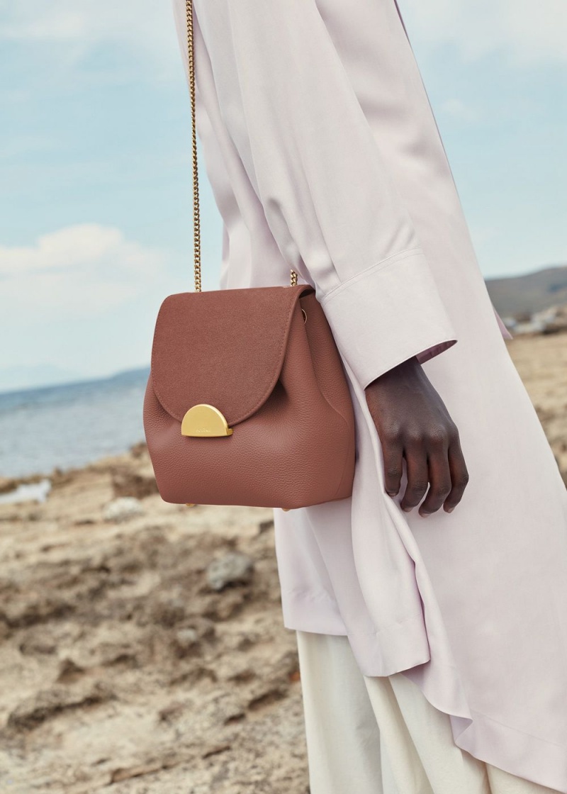 Brown Polene Numéro Un Mini Women's Bags | 650-SLZFKW